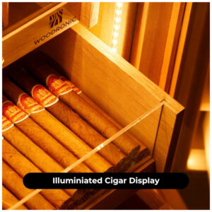 Humidor Woodronic Ébano Brilhante 250 Charutos Gaveta Acessórios Trava LED