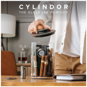 CASE ELEGANCE Cylindor Humidor Tupperdor Hermético com Higrômetro Digital, Tampa de Madeira Ashwood e Sistema Divisor Capacidade para 25 35 Charutos