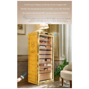 Humidor Elétrico RACHING MON5800A Preto Capacidade 3 4000 Charutos Controle Climático 110V