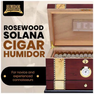 Humidor Desktop Quality Importers Solana Rosewood 75 100 Charutos Cedro Espanhol